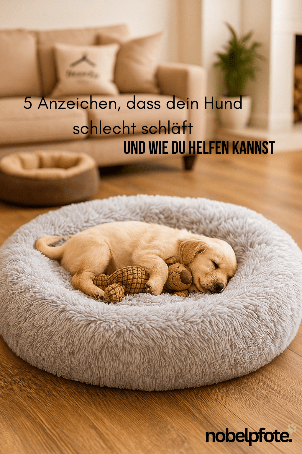 5 Anzeichen, dass dein Hund schlecht schläft (und wie du helfen kannst)