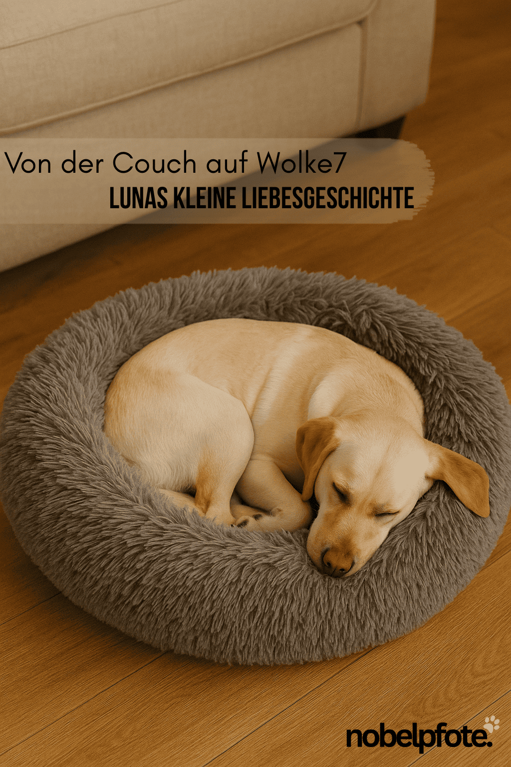 Von der Couch auf Wolke7 – Lunas kleine Liebesgeschichte