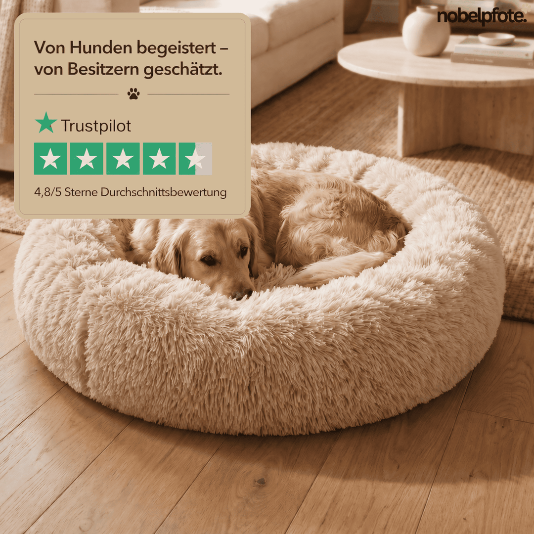 "Wolke 7" Hundebett