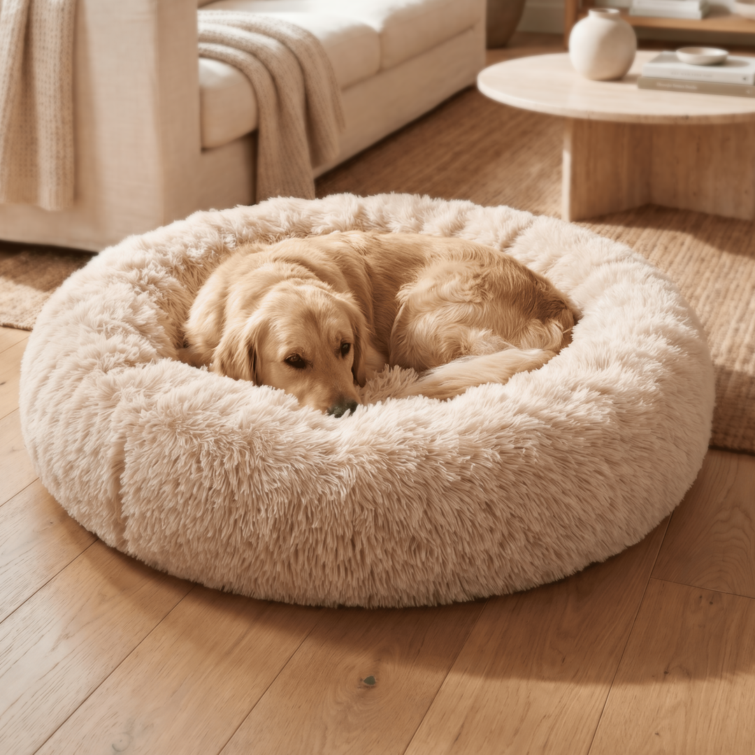 "Wolke 7" Hundebett