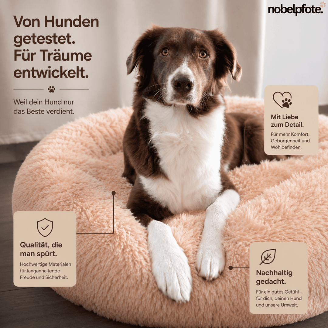 "Wolke 7" Hundebett