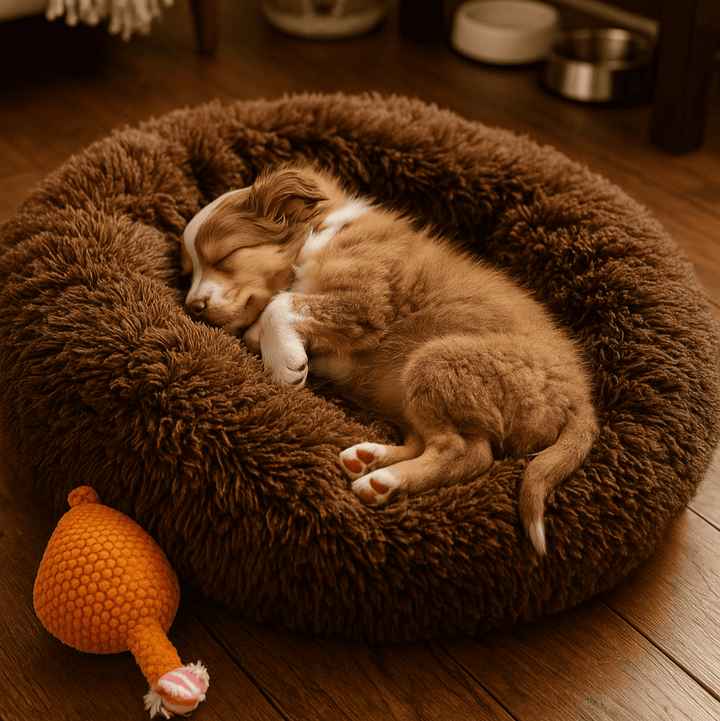 "Wolke 7" Hundebett